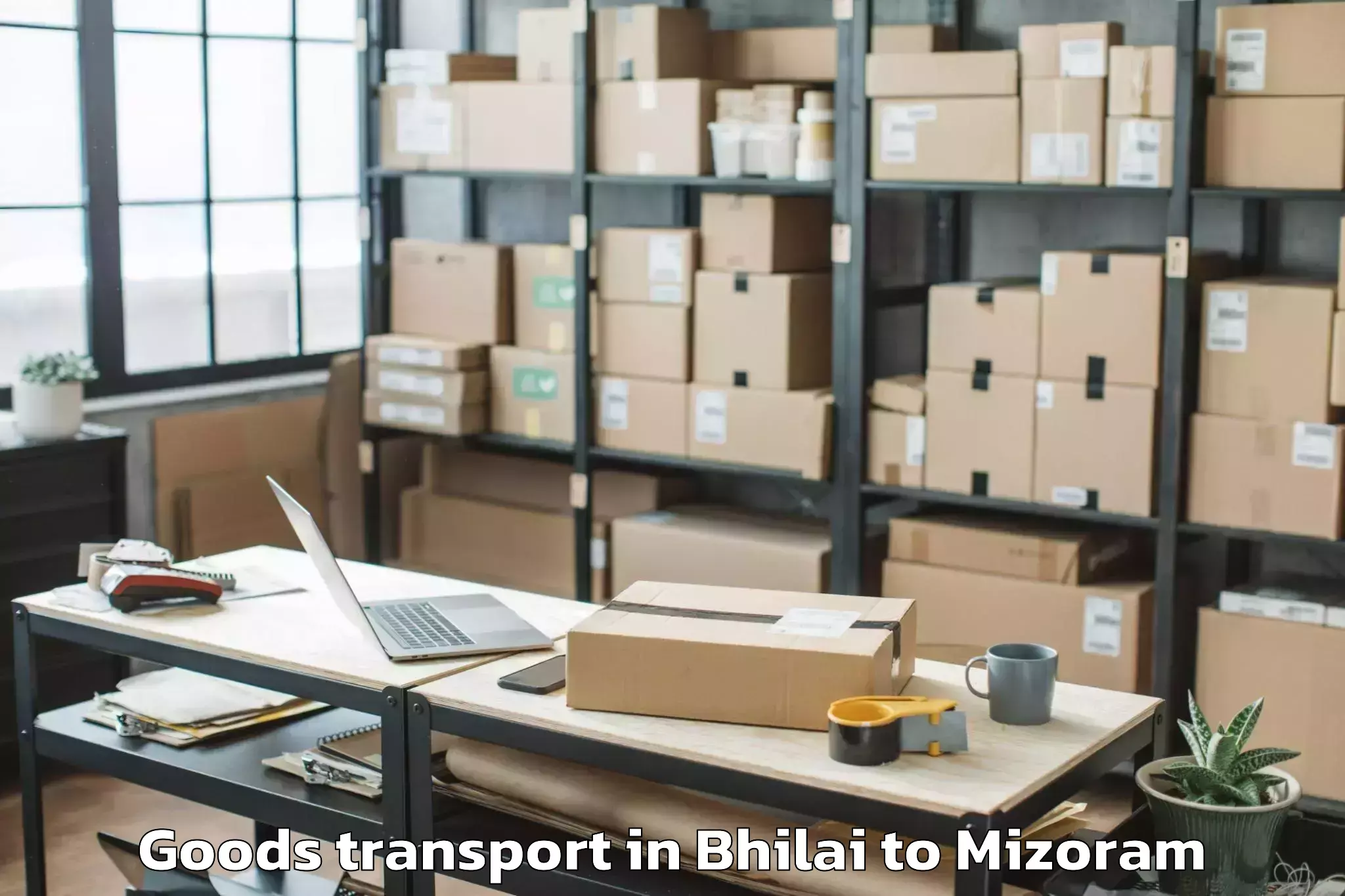 Professional Bhilai to Darlawn Goods Transport